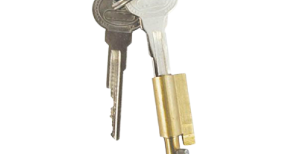 Security Keyhole Blocker ABUS Keyhole Blocker ZSS101-1-BBL – Lock Tamper Protection