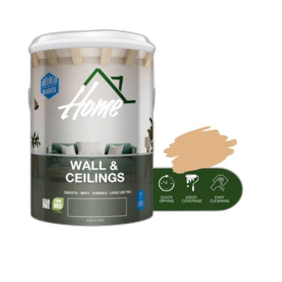  AP - WALL & CEILING - SUMMER PEACH - 20L