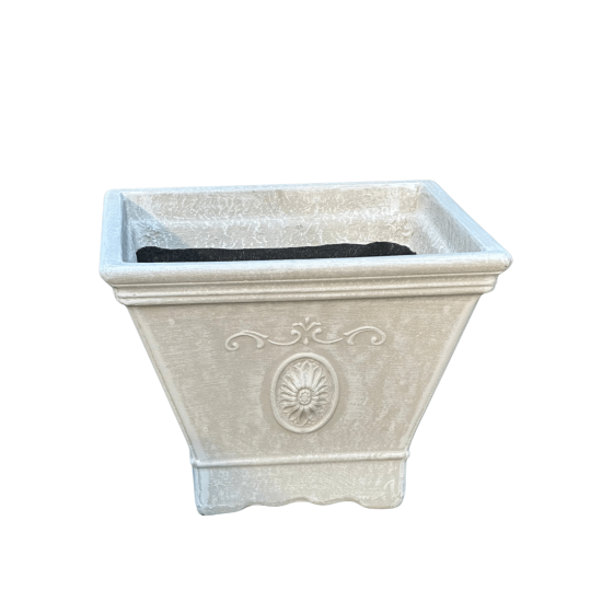 Pot Plant - Centurion - 207670