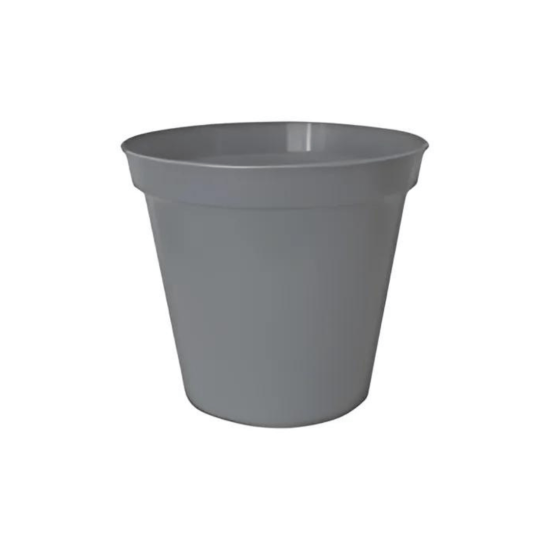 Culterra - Pot Plant - Grey Pot - 20cm PC