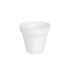Culterra - Pot Plant - White Pot - 25cm PC