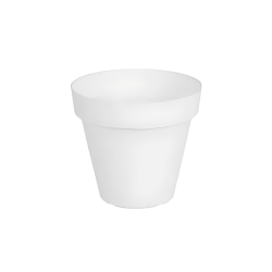 Culterra - Pot Plant - White Pot - 30cm PC