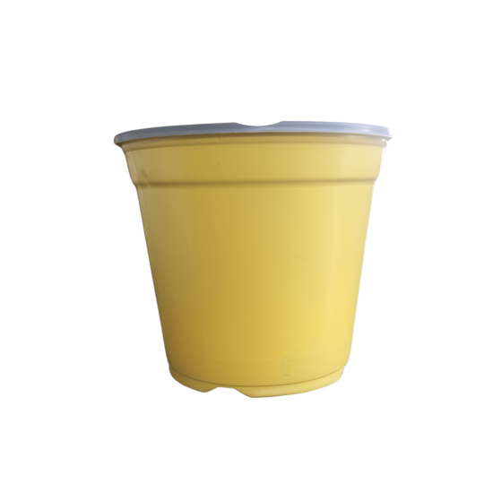 Culterra - Pot Plant - Yellow - 19cm