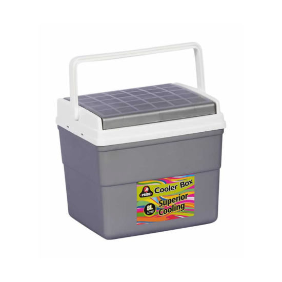 Buzz – Plastic Cooler Box – 8L - Silver
