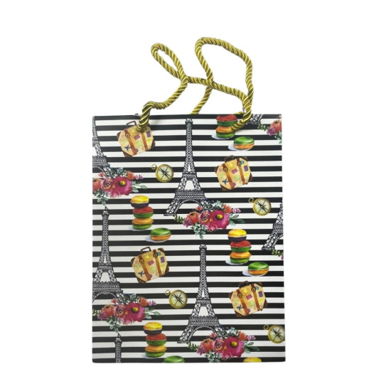 Gift Bag - Travel Assorted - Medium - 18cm x 23cm - 3 - designs: 3