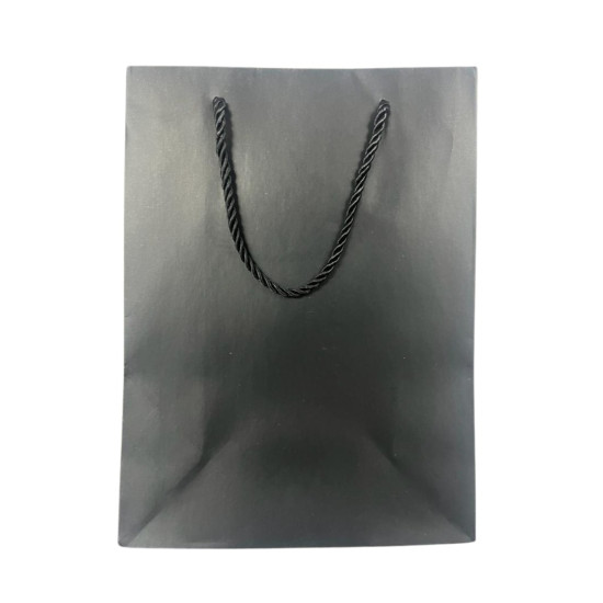 Gift Bag - Solid Colour Assorted - Medium - 18cm x 23cm - 4 - designs: 4