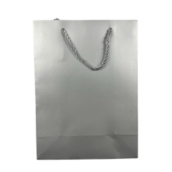 Gift Bag - Solid Colour Assorted - Medium - 18cm x 23cm - 2 - designs: 2