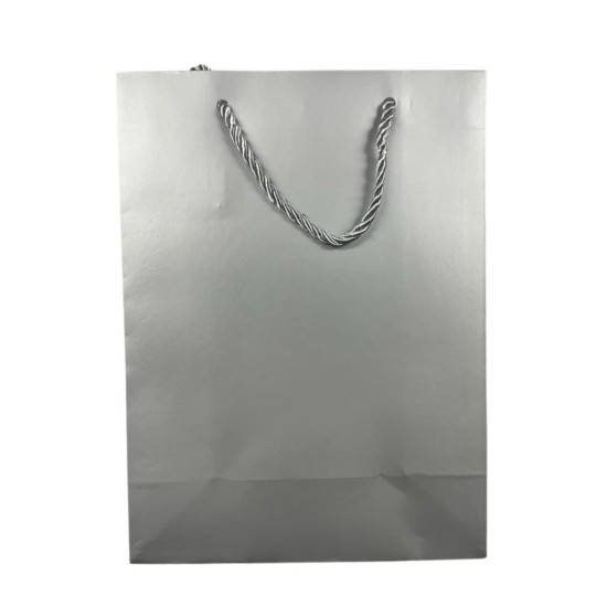 Gift Bag - Solid Colour Assorted - Medium - 18cm x 23cm - 2 - designs: 2