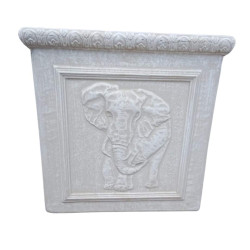 Pot Plant - African Jungle