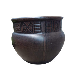 Pot Plant - Angola Medium