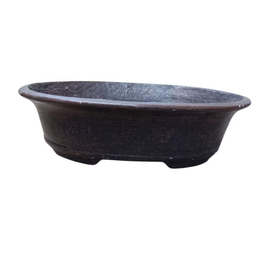 Pot Plant - Bonsai Pot