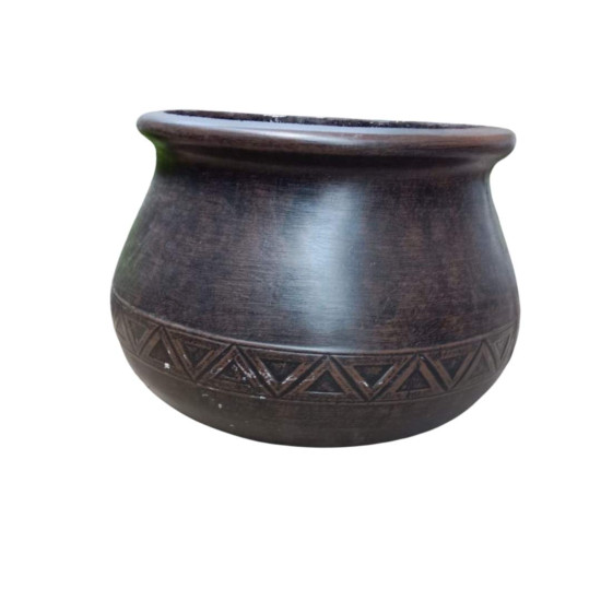 Pot Plant - Ulundi Medium