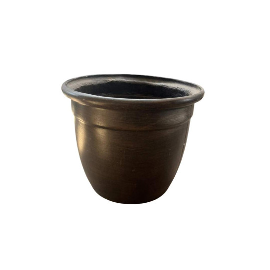 Pot Plant - Mexican Medium