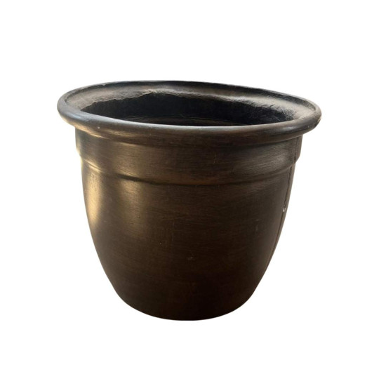 Pot Plant - Mexican Large