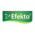 Efekto